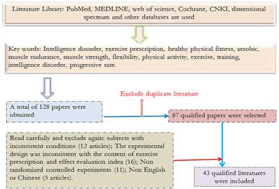 Review on the Formulation, Existing Problems, and Practical Effects of Fitness Exercise Prescriptions for People With Intellectual Disabilities